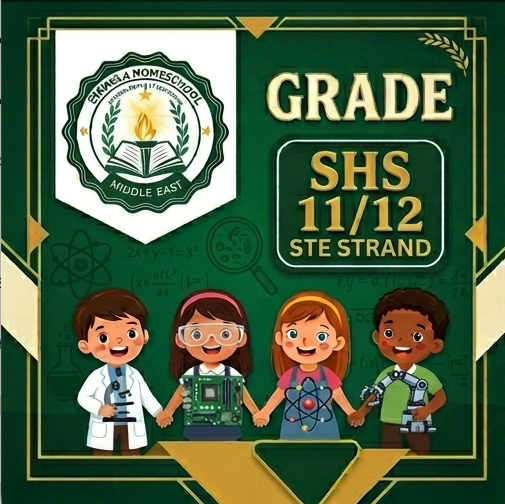 Science, Technology, Engineering and Mathematics Strand